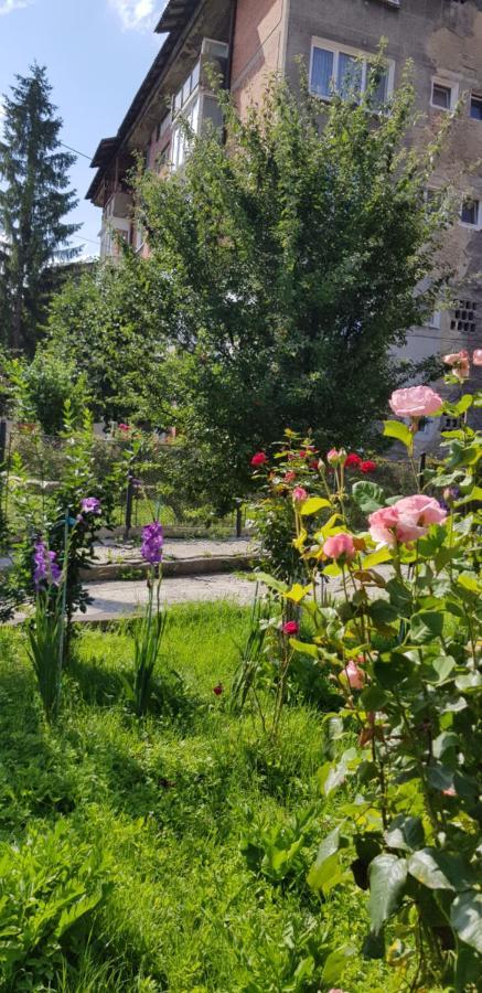 La Mihai Lupeni  Exteriör bild
